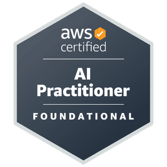 AI Practitioner